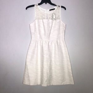 NWT ✨ The Limited Fit and Flare Dress